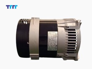 Tổng quan về củ phát điện Italia trên thị trường máy phát điện hiện nay