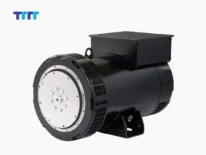 So sánh củ phát điện Leroy Somer với các thương hiệu phổ biến hiện nay So sánh chi tiết cấu tạo và tiêu chuẩn kỹ thuật của củ phát điện Leroy Somer so với các thương hiệu khác