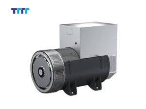 Hiệu suất thực tế của củ phát điện 5kW Italia