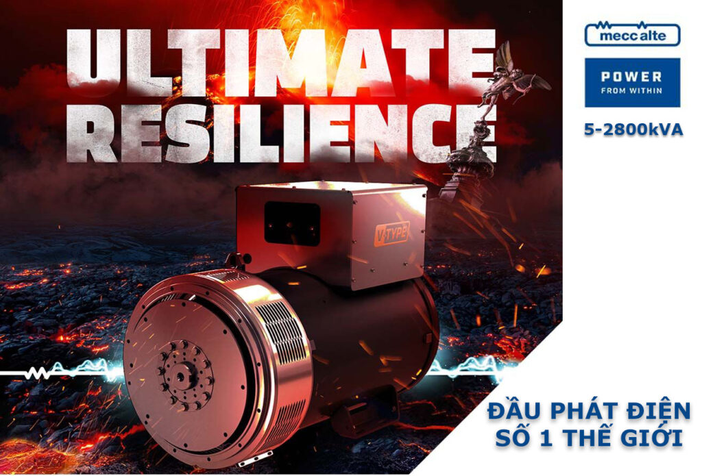 sản phẩm mecc alte